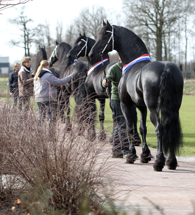 kwaadheid de vrije loop geven de elite reactie Verkoop | De Nieuwe Heuvel